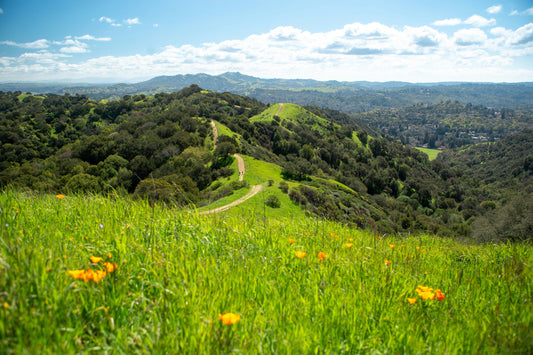 Eco-Friendly Furniture Removal in Lafayette & Surrounding Areas