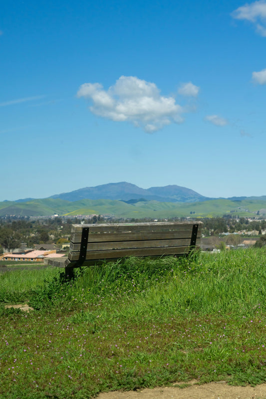 Moving Out? How to Remove Unwanted Items in Pleasant Hill