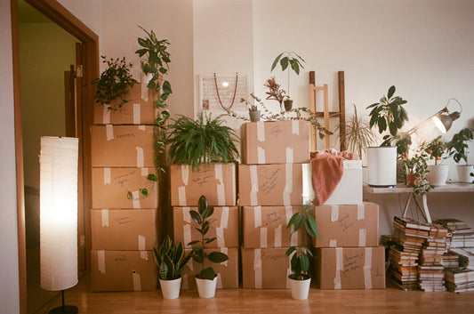 How to Responsibly Remove Furniture and Household Items in Walnut Creek & East Bay